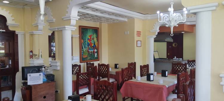 贝兹扎尔酒店(Hotel Báez Carrizal)图片