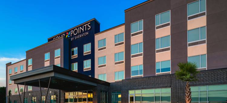 福朋喜来登沃思堡北酒店(Four Points by Sheraton Fort Worth North)图片