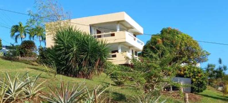 Charly's Place图片