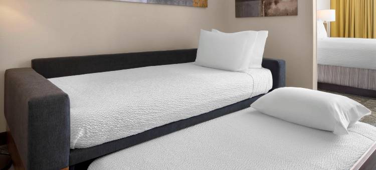 奥斯汀圆石城万豪 SpringHill Suites 酒店(SpringHill Suites Austin Round Rock)图片