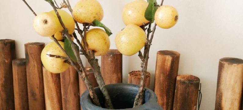 馨海美宿公寓(滨海大道分店)图片