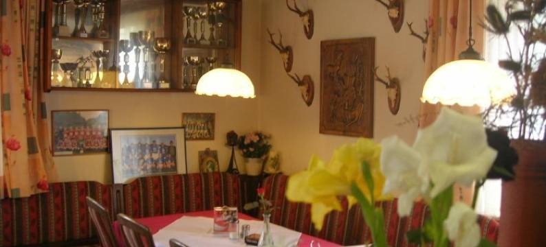 Gasthof Und Pension Haunschmid图片