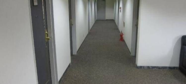 旭川东洋酒店(Asahikawa Toyo Hotel)图片