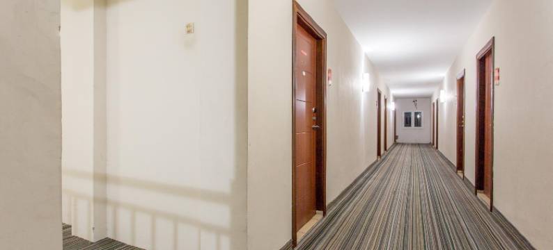 城市酒店(City Hotel)图片