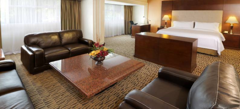 Holiday Inn 蒙特雷NORTE(Holiday Inn MONTERREY NORTE by IHG)图片