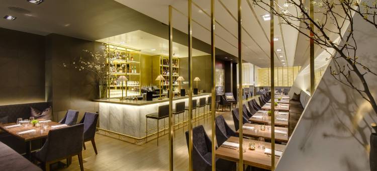 凯悦Thompson中央公园纽约(Thompson Central Park New York by Hyatt)图片
