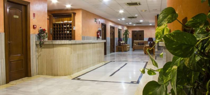 阿尔穆涅卡托沃索酒店(Hotel Toboso Almuñécar)图片