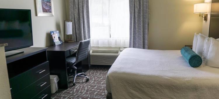 五月港贝斯特韦斯特套房酒店(Best Western Mayport Inn  Suites)图片