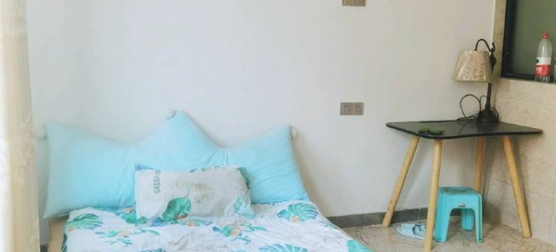 雅巢民宿(中华北路分店)图片