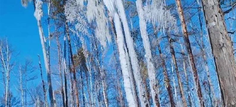 漠河村口人家客栈图片