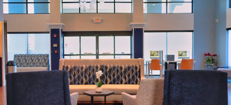 坦帕奥尔兹马智选假日酒店及套房(Holiday Inn Express & Suites Tampa Northwest-Oldsmar)图片