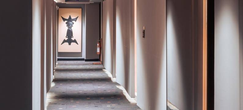 巴拿马城埃克东方酒店(Exe Oriental Panamá)图片