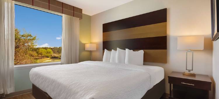 希尔顿德斯廷 Spark(Spark by Hilton Destin)图片