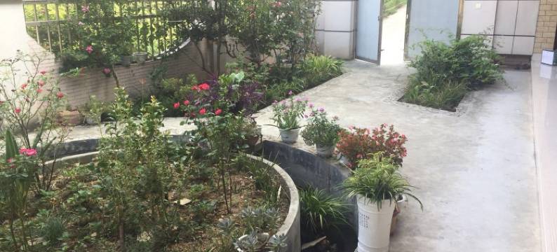 义云小酌农家乐图片