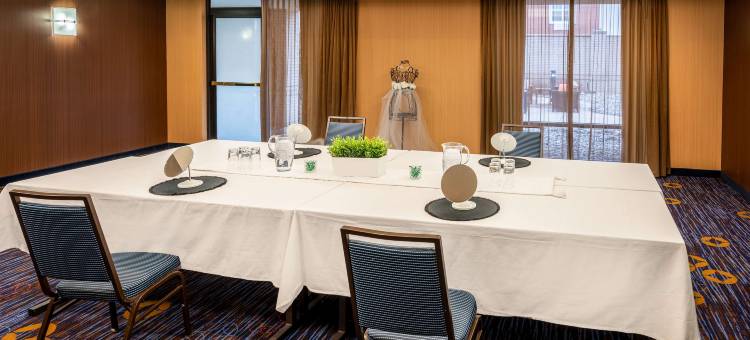 底特律-诺维索尼斯塔精选酒店(Sonesta Select Detroit Novi)图片