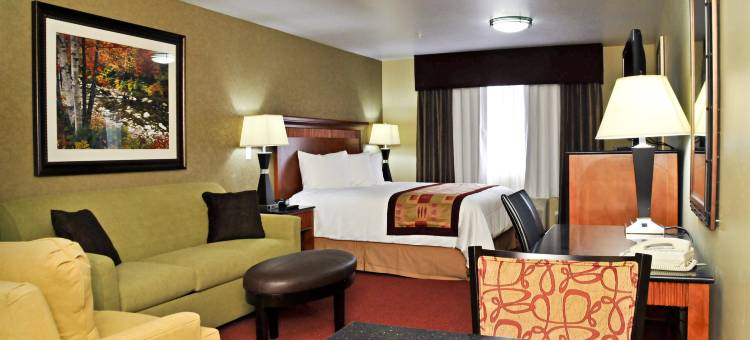 雷顿公园贝斯特韦斯特优质酒店(Best Western Plus Layton Park Hotel)图片