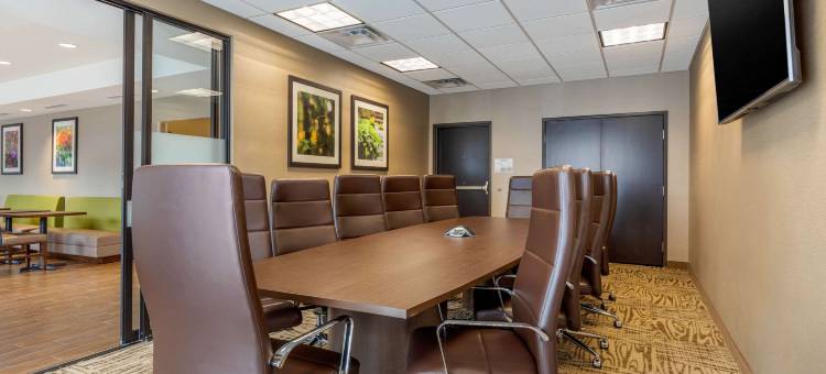 斯克内克塔迪-斯科迪亚舒适套房酒店(Comfort Inn & Suites Schenectady - Scotia)图片