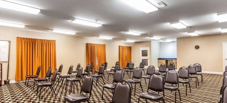 凯艺套房酒店(Quality Inn & Suites)图片