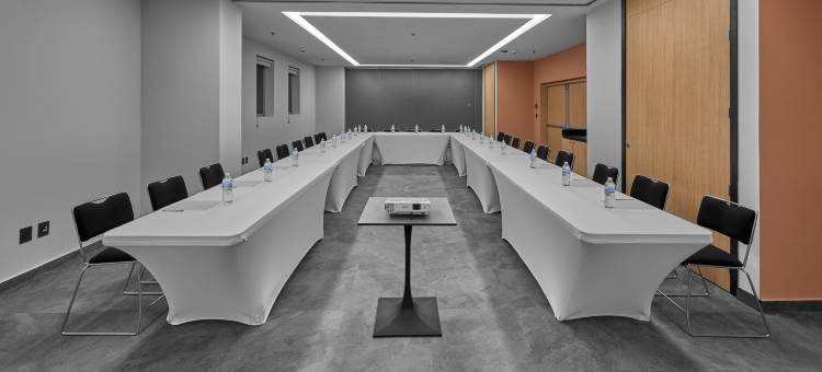 普罗维登西亚瓜达拉哈拉万豪城市快捷酒店(City Express Plus by Marriott Guadalajara Providencia)图片