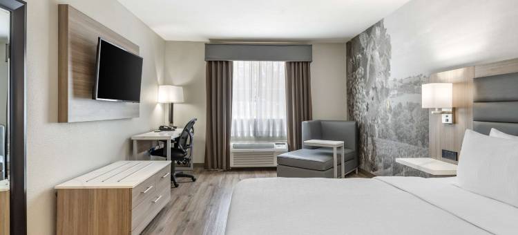 葡萄园贝斯特韦斯特优质酒店(Best Western Plus Vineyard Inn)图片