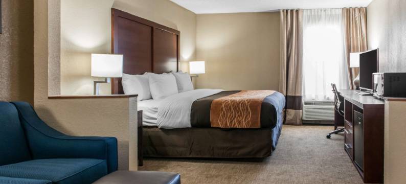 北布鲁艾施舒适酒店(Comfort Inn Blue Ash North)图片