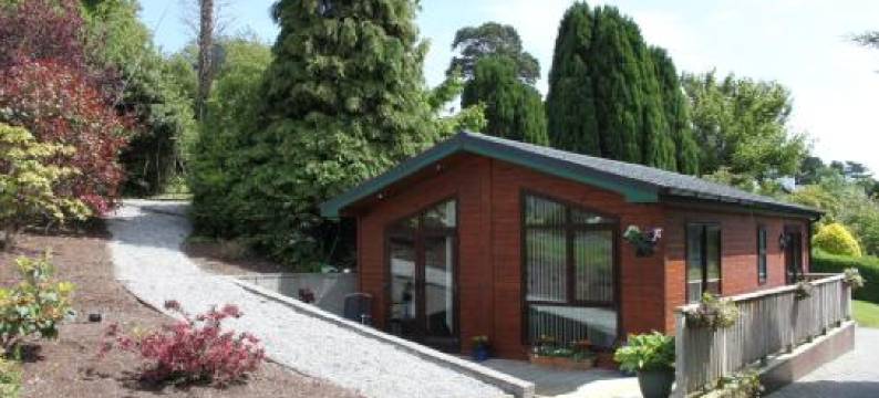 榉木树度假屋(Beechtree Chalet)图片