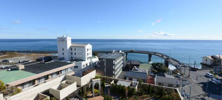 天地阁酒店(Hotel Tenchikaku)图片