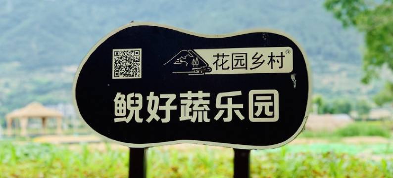 鲵好松阳浙里客栈(庄门源绿道分店)图片