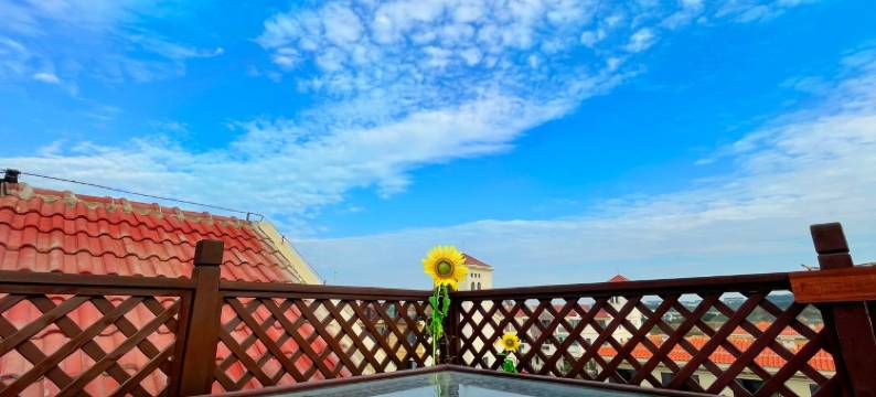 威海玉兰小院图片