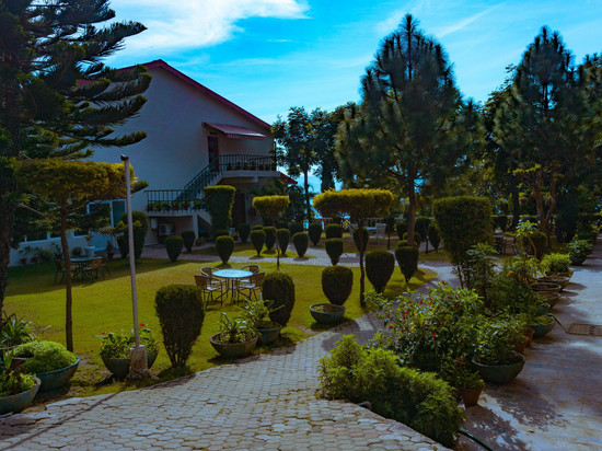 The Fern Surya Resort Dharampur, 卡萨利山, 万豪系列