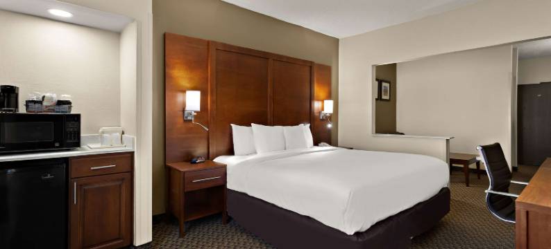 拉斯克鲁塞斯综合康福特套房套房(Comfort Suites University)图片