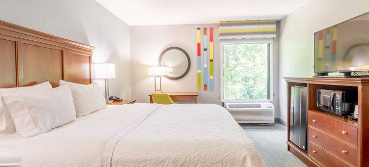 盖恩斯维尔欢朋酒店(Hampton Inn Gainesville)图片