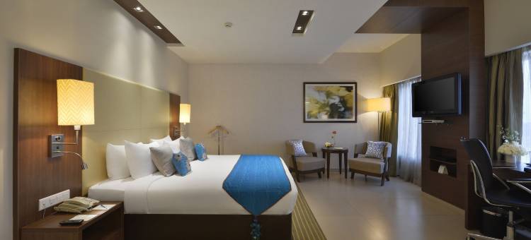 瓦多达拉苏亚宫殿美爵酒店(Grand Mercure Vadodara Surya Palace)图片