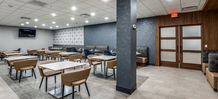 达拉斯市场中心爱田假日酒店(Holiday Inn DALLAS MARKET CTR LOVE FIELD by IHG)图片