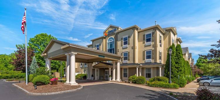 舒适酒店套房(Comfort Inn & Suites)图片