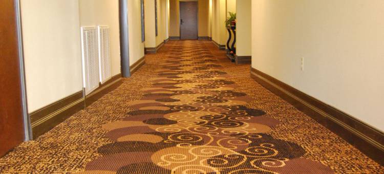 摩根敦学者饭店 - 希尔顿启缤精选饭店(Scholar Morgantown, Tapestry Collection by Hilton)图片