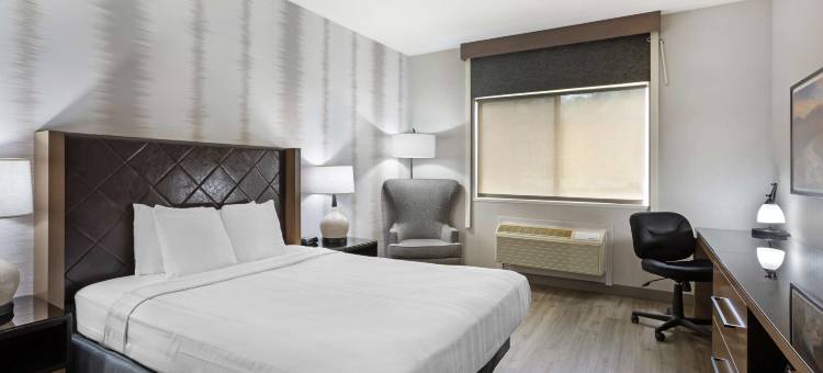 度假山贝斯特韦斯特酒店(Best Western Holiday Hills)图片