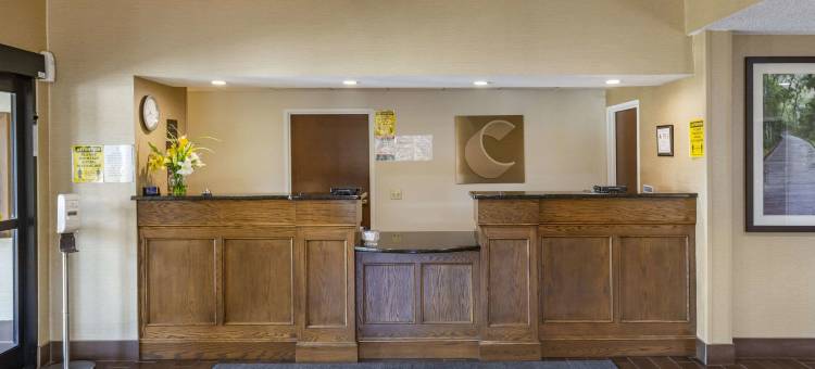 舒适酒店(Comfort Inn)图片