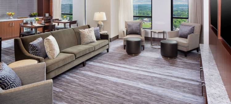 罗切斯特梅奥诊所区希尔顿酒店(Hilton Rochester Mayo Clinic Area)图片