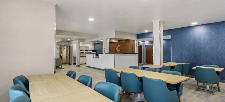 舒适酒店及套房哈里斯堡-赫尔希北(Comfort Inn & Suites Harrisburg-Hershey North)图片