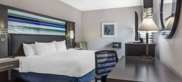 斯帕坦堡贝斯特韦斯特优质酒店(Best Western Plus Spartanburg)图片