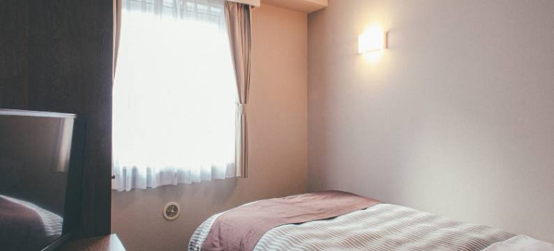 Kuretake-INN东京船堀(Kuretake-Inn Tokyo Funabori)图片