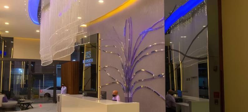 墨西哥城康德萨南 HS Hotsson(HS Hotsson Cdmx Condesa Sur)图片