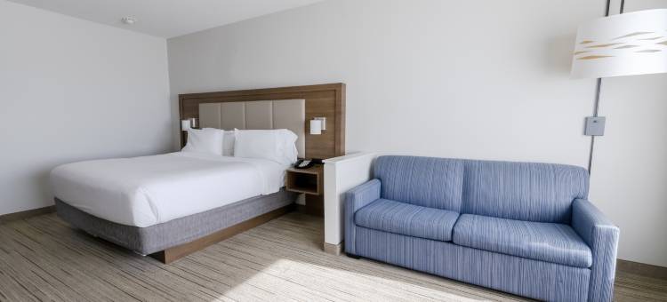 智选假日套房酒店-加兰西南/达拉斯东北地区(Holiday Inn Express & Suites Dallas Northeast - Arboretum)图片