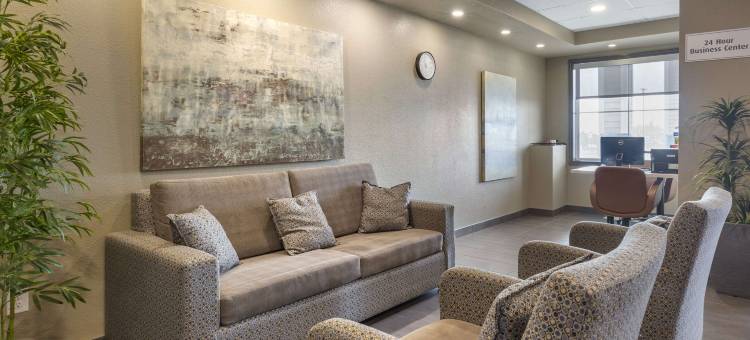 凯艺套房酒店(Quality Inn & Suites)图片