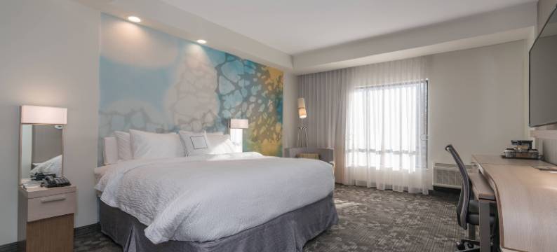 西斯普林菲尔德万怡酒店(Courtyard by Marriott West Springfield)图片