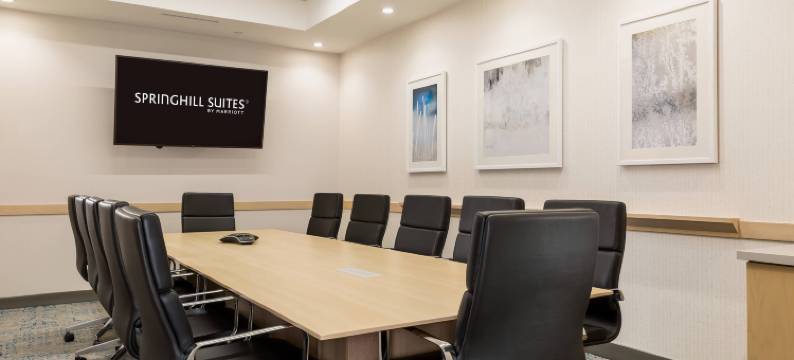 圣保罗市中心SpringHill Suites酒店(SpringHill Suites St. Paul Downtown)图片