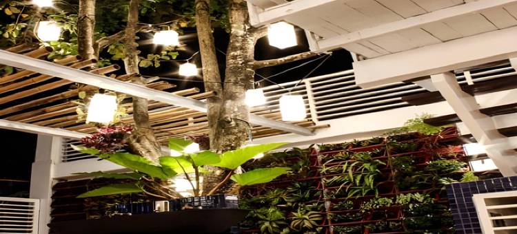 橙色红树林旅馆-SMS酒店集团(Orange Mangrove Pension House by SMS Hospitality)图片