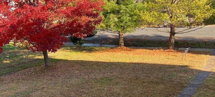 Single Family Near Pwc Center, Potomac Mall, HistorcOccoquan .<Br>Woodbridge VA.图片