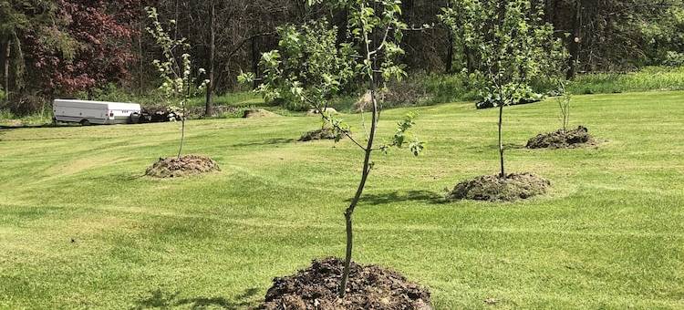 Balcom Court Guest House Loftcozy, grand, secluded图片